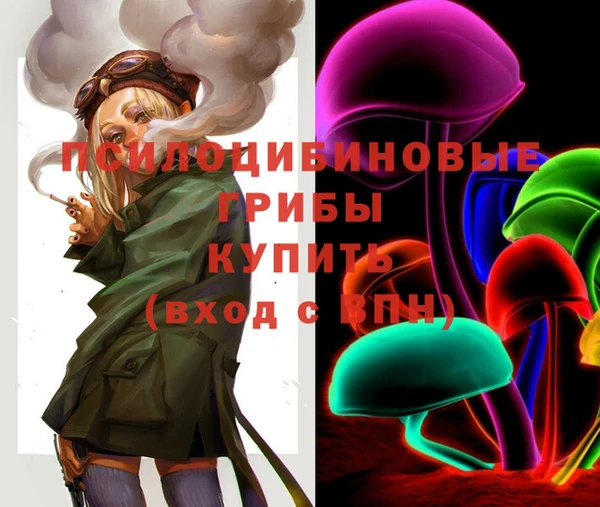MDMA Premium VHQ Богородск